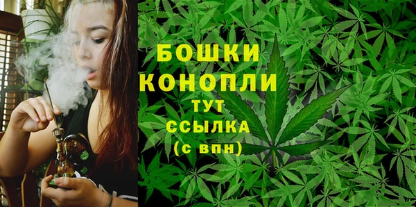 стаф Пересвет