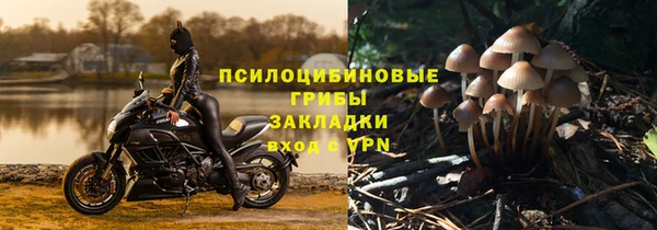 прущая мука Богородск